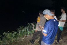 Mandi di Sungai Ogan, Seorang Anak Dikabarkan Hilang 