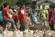 Harga Karet di Kabupaten OKU Selatan Turun