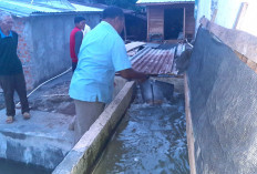 Herman Deru Gaungkan Gerakan Sumsel Mandiri Pangan