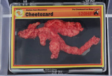 Cheetozard, Cheeto Mirip Charizard yang Dilelang dengan Tawaran Rp62 Juta dan Terus Naik