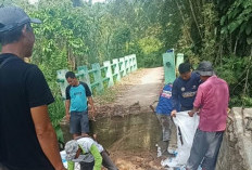 Tanpa Menunggu Bantuan, Warga Kompak Perbaiki Jembatan Rusak