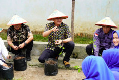 Kendalikan Inflasi, Gelar Gerakan Tanam Cabai Serentak