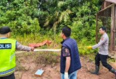 Petani di OKU Ditemukan Tewas di Bawah Kabel Tegangan Tinggi