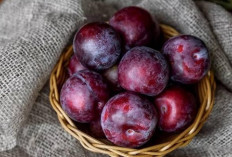 Manfaat Luar Biasa Buah Plum bagi Kesehatan
