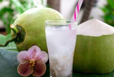 5 Manfaat Ajaib Air Kelapa untuk Kesehatan Tubuh dan Kulit