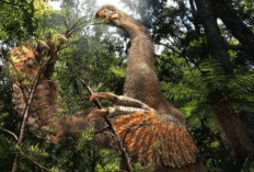 Dinosaurus Baru Ditemukan di Mongolia, Miliki Cakar Raksasa yang Terawetkan Sempurna