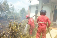 Karhutla Dekat Permukiman dan Bakar Kebun Sawit