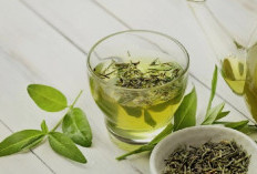 Cara Alami Menurunkan Kolesterol dengan Herbal Sehat