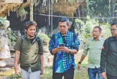 Rencanakan Peresmian Musium Peradaban Goa Harimau