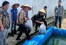 Tebar Ratusan Benih Ikan Nila