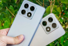 5 HP Xiaomi Terbaru Juni 2025 dengan Kamera Terbaik, Cocok Buat Pecinta Fotografi!