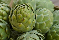 Kenali Manfaat Artichoke, Sayuran Unik yang Kaya Antioksidan