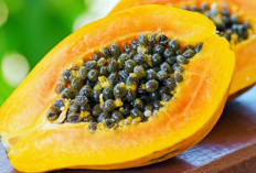 5 Manfaat Biji Pepaya untuk Kesehatan, Nomor 3 Bikin Tubuh Lebih Kuat!