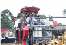 Panen 30 Ton Jagung, OKU Selatan Siap Jadi Lumbung Pangan Sumsel