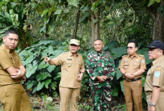 Tinjau Lokasi Pembangunan Unit Pelayanan Makanan Bergizi