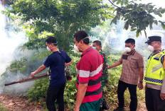 DBD Banyak Serang Anak-Anak, Satu Orang Meninggal Dunia