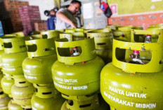 Harga Melambung Tinggi, Pemerintah Diminta Turun Tangan