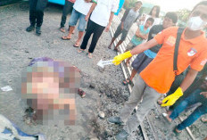 Lansia Tertabrak Kereta Api Babaranjang di Perlintasan 