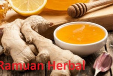 Resep Ramuan Herbal untuk Meningkatkan Daya Tahan Tubuh Selama Puasa