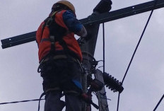 Listrik Padam di Muaradua, PLN Bergerak Cepat Atasi Kerusakan Jaringan