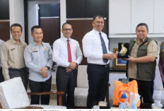 BNPB Siapkan Relokasi dan Hunian Sementara Bagi Korban Banjir Bandang OKU Selatan
