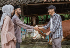 5 Larangan dalam Ibadah Kurban yang Wajib Diketahui Umat Muslim