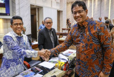Rujak Solo