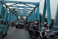 Tonton Buaya, Jembatan Macet, Warga Pun Panik