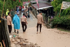 Bencana Longsor Timbun Sawah dan Kolam Warga