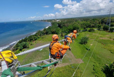 PLN Raih Perusahaan Energi Terbaik untuk Karir versi LinkedIn 2025