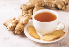 5 Minuman Herbal yang Terbukti Redakan Gejala Flu, Coba Sekarang!