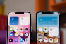 Harga iPhone 13 hingga iPhone 16 Pro Max Turun Drastis, Saatnya Upgrade?