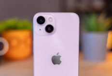 Masih Layak Beli? Ini Alasan iPhone 14 Tetap Menarik di Tahun 2025