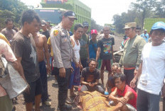 Pasutri Pulang dari Kebun Meregang Nyawa di Jalan Khusus Batu Bara