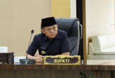 Ajukan 4.257 Honorer Jadi PPPK Paruh Waktu, Anggaran Jadi Perhatian