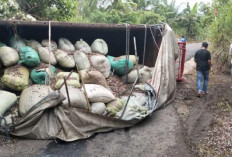 Truk Bermuatan Kemiri Terbalik 