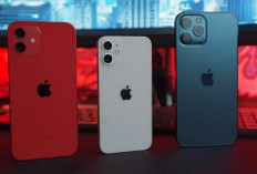 Meski Bukan Baru, iPhone 12 Tetap Diburu karena Update iOS 26