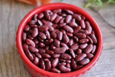 Sumber Nutrisi Kacang Merah Yang Kaya Manfaat untuk Kesehatan  