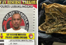 Buang Ganja Dijalan Pria Tua Tertangkap Petugas