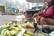 Sepi Pembeli, Pedagang Pilih Jualan di Pinggir Pasar