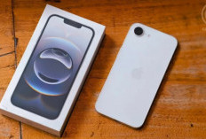 Lebih Murah, Lebih Canggih! iPhone 16e Bawa Teknologi AI Apple Intelligence