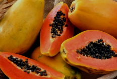 7 Buah yang Aman untuk Asam Lambung, Bantu Redakan Gejala GERD