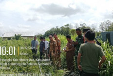 Camat Muaradua Cek Kesiapan Lahan Koperasi Merah Putih