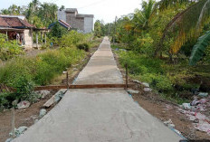 Normalisasi Saluran Cegah Banjir