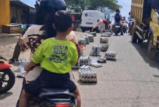 Ompreng MBG Jatuh Berserakan di Jalan Viral di Medsos