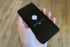Galaxy S21 FE Dapat Update Keamanan Mei 2025, Siap Sambut Android 16!