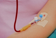 Transfusi Darah untuk Menyelamatkan Janin dari Anemia