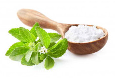 Gula Stevia Aman untuk Penderita Diabetes dan Obesitas