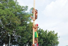 Festival Panjat Pinang 80 Pohon Siap Digelar di Jakabaring