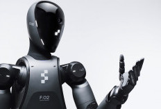 BMW Uji Coba Robot Humanoid Figure 02 di Pabrik Spartanburg